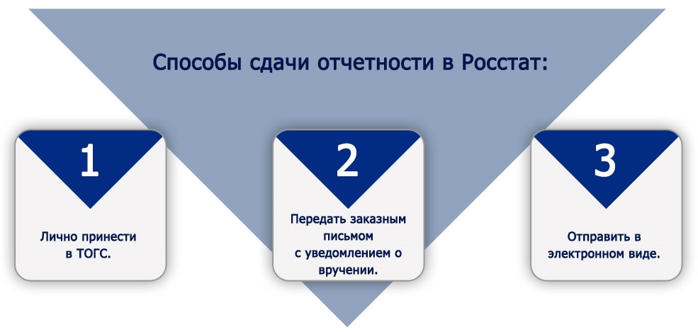 Сдает ли отчетность. Электронная отчетность в Росстат. Сдача отчетности в Росстат. Отчетность в Росстат картинки. Росстат сдать отчетность.